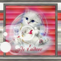 AMINA BEN ABDELJELIL