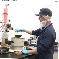 Matt Brown