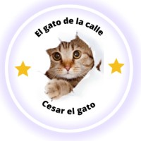 Maxi San Martín