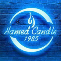 hamed vahedi