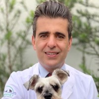Herbert Corrêa