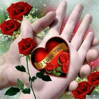 Mohammad Farook Farook