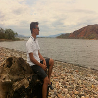Nicolas Vidal Cortes