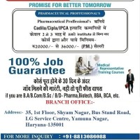 Pharma Career Jobs