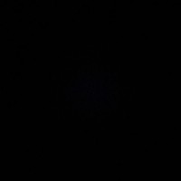 Alexander Pflugfelder