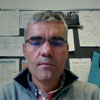 Patrick Soularue