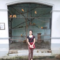 Phoo Pyae Sone