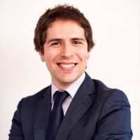 José Guimarães