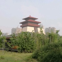 王理国