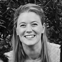 Anne van der Ham - IJland