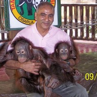 Errol Amerasekera