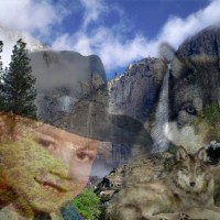 David Monier