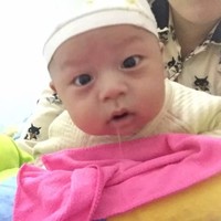 海明成
