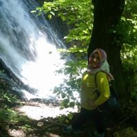 Dina Aljawamis