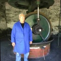 Antonio Daquino