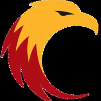 Tech Eagle