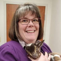 Karen Farren