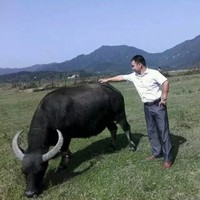 徐梦阳