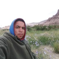 حسن بعكي