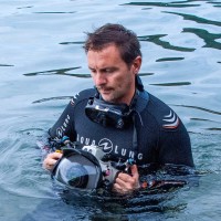 Nuno Vasco Rodrigues