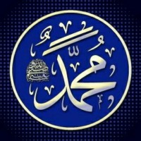 Mahmoud Attiya - محمود عطية