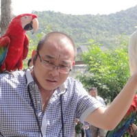 杨延鹏