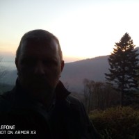 Laurent M