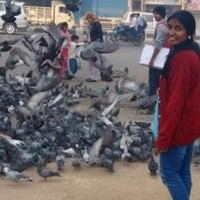 Suma Maddirala