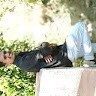 Saurabh Bodhe