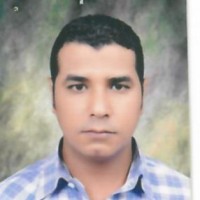 Mahmoud Al Noby