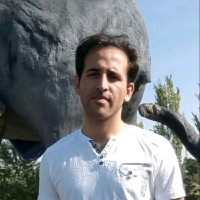 alireza nejati