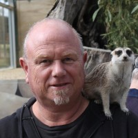 alan bailey
