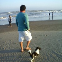 Luis Sassone