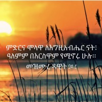 Haimanot Zewdie