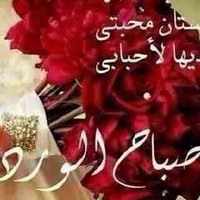 Ahmed Elgamal
