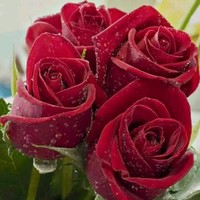 Pradip Singh