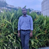 Md Josim Uddin