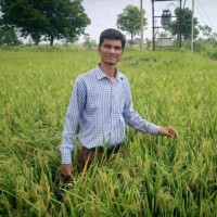 Akshay Sadafale