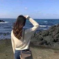 王凤琴