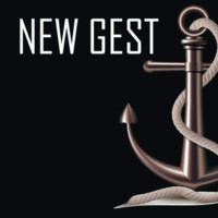 New Gest Consultoria