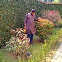 Muhammad Shah Newas