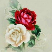 Manvith Manoj