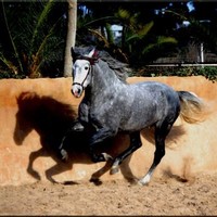 JUAN MANUEL FERNANDEZ MARTIN