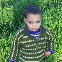 Falh Zaref