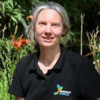 Aude Haelewyn-Desmoulins