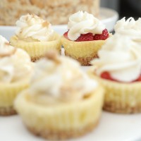 The Banana Pudding Company