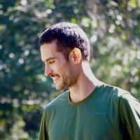 Vinícius Marquesini Terzi