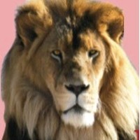 Mahamane MAIDAJI