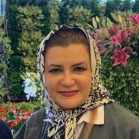 Sima Iranli