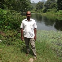 Premkumar P